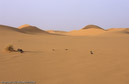 LYB_06_d03_24_